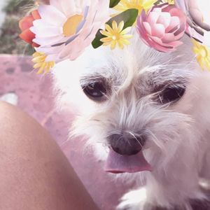 Meet your Posher, Letty